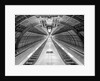 Escalator at subway station by Assaf Frank